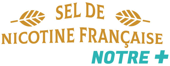 Logo Sel de nicotine française